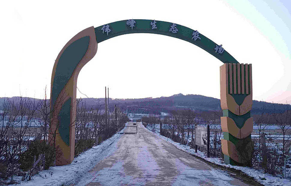 吉林長春偉峰農(nóng)場櫻桃大棚供暖